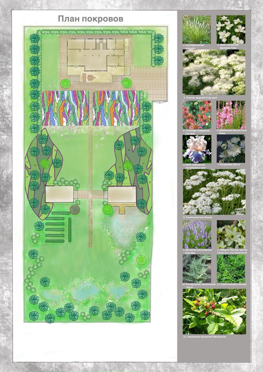 Сад художника 2